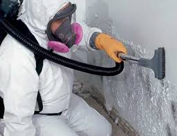 Best Asbestos and Lead Testing During Mold Inspection in National Park, NJ